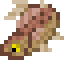 Файл:Brown Trout.png